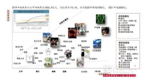 金光APP與中網(wǎng)品牌策劃 品牌戰(zhàn)略咨詢與禮儀服務(wù)助力成熟品牌營(yíng)銷突破