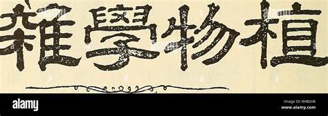 《賽爾特大陸》周年慶版本手游代理的禮儀服務指南 專業態度鑄就成功